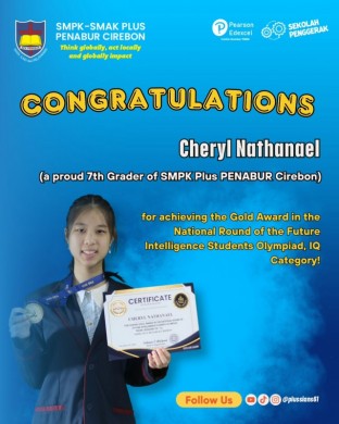 Gold Award in the National Round of the Future Intelligence Students Olympiad, IQ Category!