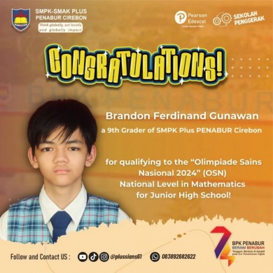 Qualifying to the “Olimpiade Sains Nasional 2024” (OSN) National Level in Mathematics for Junior High School